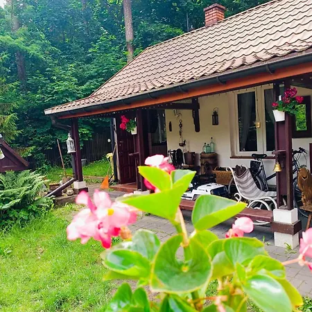 Holiday home Nad Poranna Rosa - W Sercu Lasu Garbatka-Letnisko