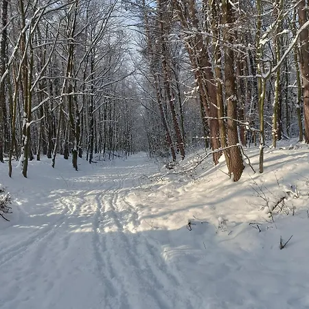 Casa vacanze Nad Poranna Rosa - W Sercu Lasu *